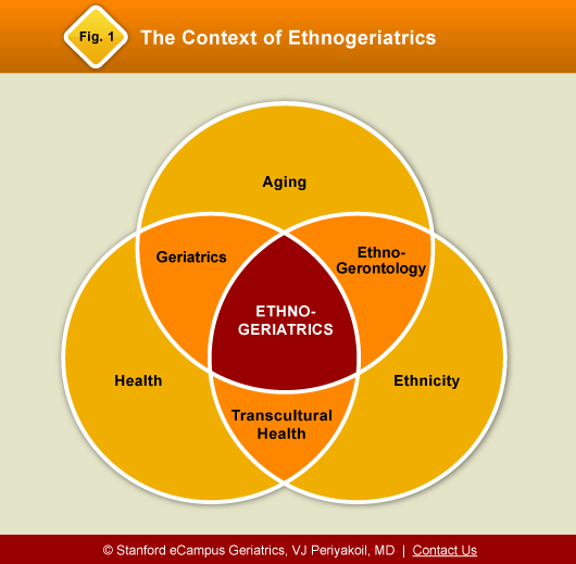 Figure 1: Context of Ethnogeriatrics
