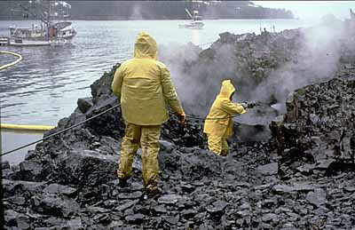 Photo of Workers Cleaning up Oil Spill
