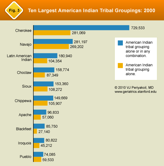 Figure 3: Ten Largest American Indian Tribal Groupings: 2000