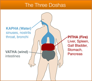 the three doshas