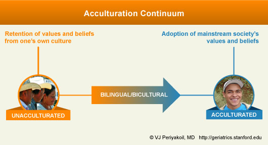 Acculturation Continnum
